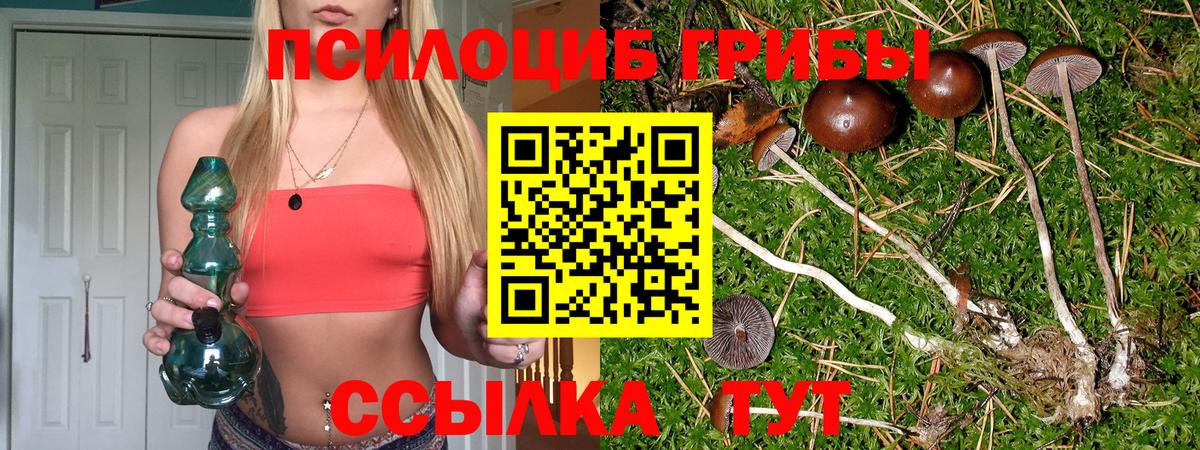 Псилоцибиновые грибы мицелий Ижевск