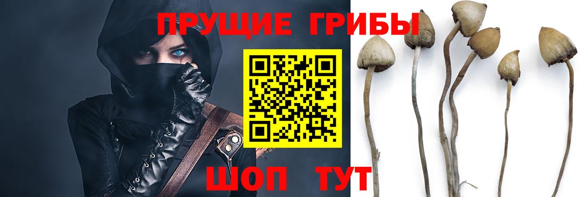 Псилоцибиновые грибы ЛСД  Псилоцибиновые грибы MAGIC MUSHROOMS  Ижевск  где можно купить наркотик  Вход с VPN 